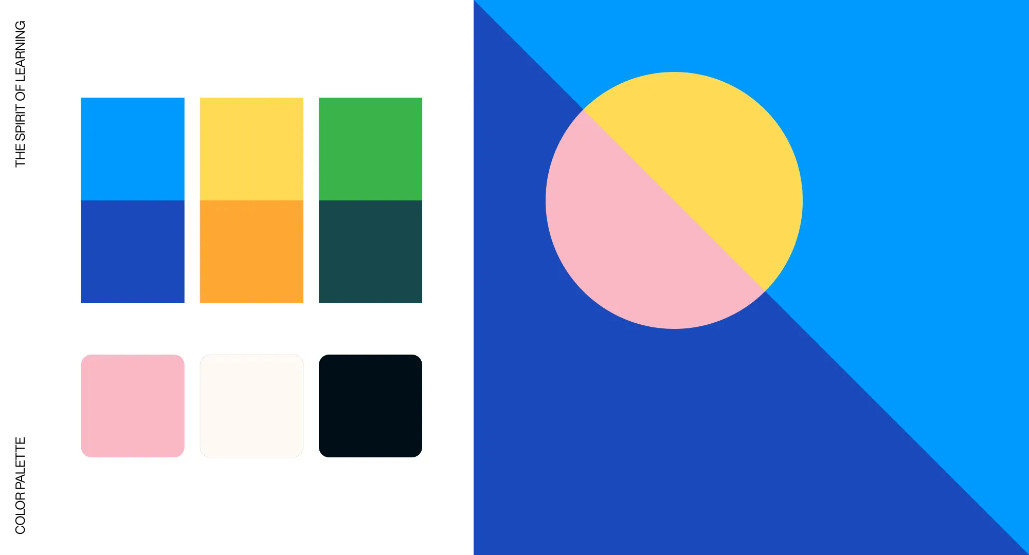SkillsUnion - Brand Color Palette